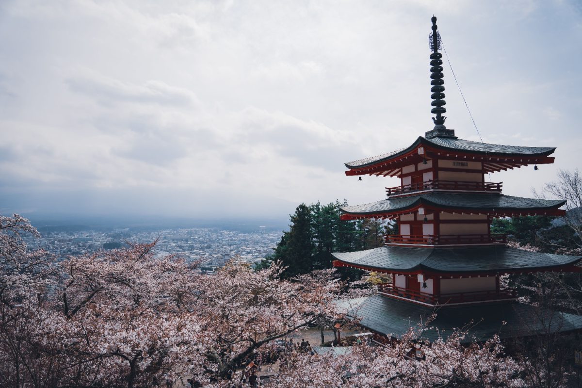 Best Cities to Visit in Japan in 2026 | Complete Japan Travel Guide | Trippy Travels