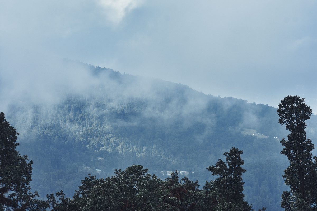 Trippy Travels - How Many Days Are Enough for Manali? | Itinerary, Stay & August Guide | Trippy Travels Travel Experience A scenic view of How Many Days Are Enough for Manali? | Itinerary, Stay & August Guide | Trippy Travels